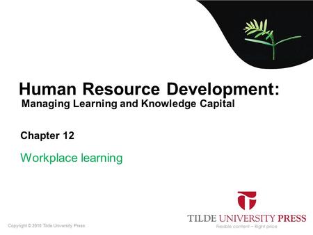 Managing Learning and Knowledge Capital Human Resource Development: Chapter 12 Workplace learning Copyright © 2010 Tilde University Press.
