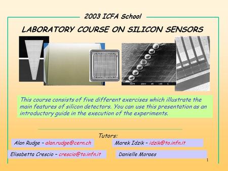 1 2003 ICFA School LABORATORY COURSE ON SILICON SENSORS Elisabetta Crescio – Marek Idzik – Tutors: This course consists.