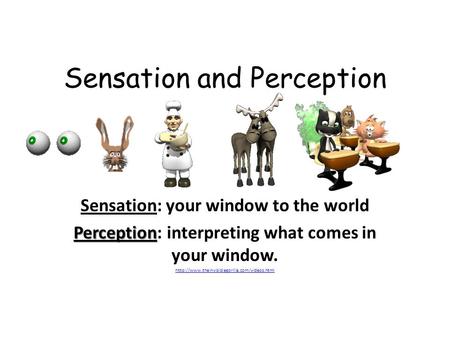 Sensation and Perception Sensation: your window to the world Perception Perception: interpreting what comes in your window.