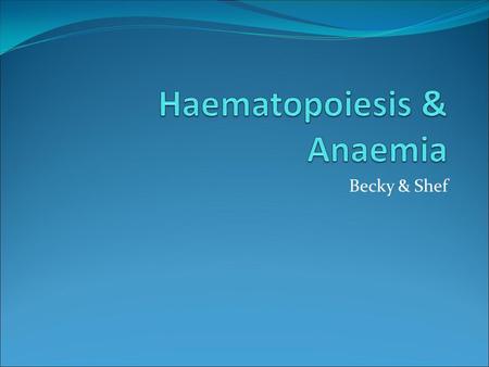 Becky & Shef. What is haematopoiesis? The production of mature blood cells.