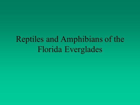 Reptiles and Amphibians of the Florida Everglades.