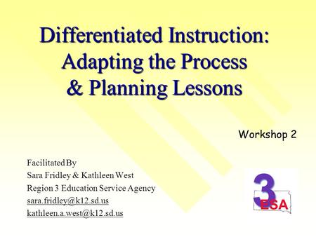 Differentiated Instruction: Adapting the Process & Planning Lessons Facilitated By Sara Fridley & Kathleen West Region 3 Education Service Agency