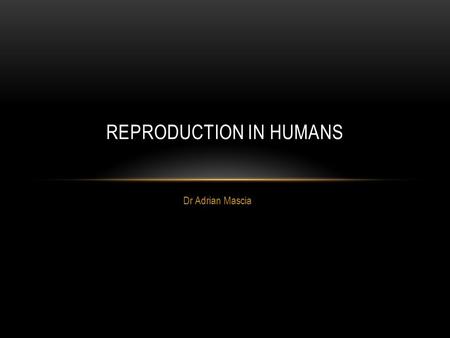 Dr Adrian Mascia REPRODUCTION IN HUMANS. Human Chromosomes.