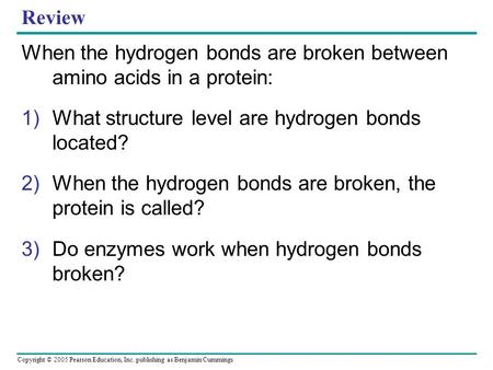 Copyright © 2005 Pearson Education, Inc. publishing as Benjamin Cummings Review When the hydrogen bonds are broken between amino acids in a protein: 1)What.