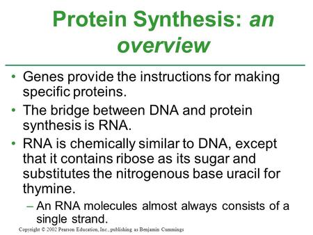 Protein Synthesis: an overview