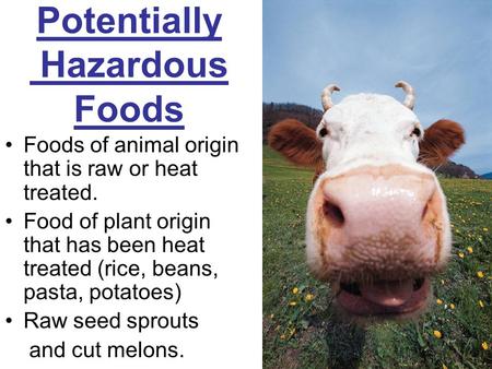 Potentially Hazardous Foods Foods of animal origin that is raw or heat treated. Food of plant origin that has been heat treated (rice, beans, pasta, potatoes)