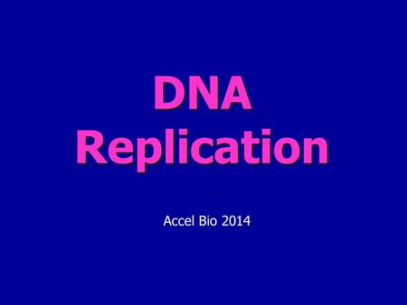 DNA Replication Accel Bio 2014.