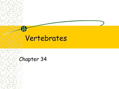 Vertebrates Chapter 34.