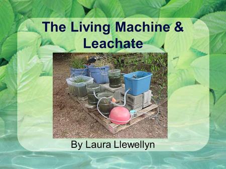 The Living Machine & Leachate