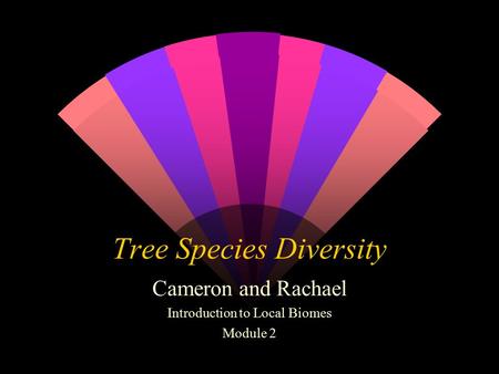 Tree Species Diversity Cameron and Rachael Introduction to Local Biomes Module 2.
