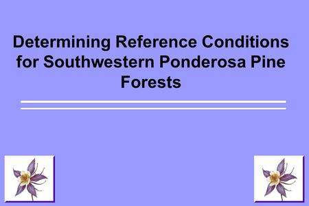 Determining Reference Conditions for Southwestern Ponderosa Pine Forests.