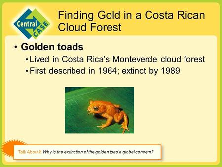 Finding Gold in a Costa Rican Cloud Forest