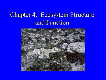 Chapter 4: Ecosystem Structure and Function. Ecosystems Study of how organisms interact with each other and with the biotic EVR Organism -> species->