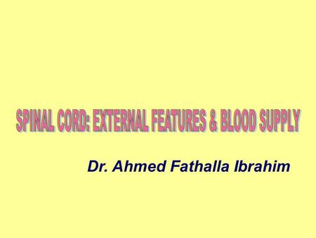 Dr. Ahmed Fathalla Ibrahim. NERVOUS SYSTEM STRUCTURAL CLASSIFICATION:STRUCTURAL CLASSIFICATION: 1.CENTRAL NERVOUS SYSTEM (CNS): Brain, spinal cord 2.PERIPHERAL.