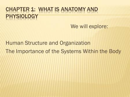We will explore: Human Structure and Organization The Importance of the Systems Within the Body.