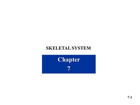 SKELETAL SYSTEM Chapter 7 7-1.