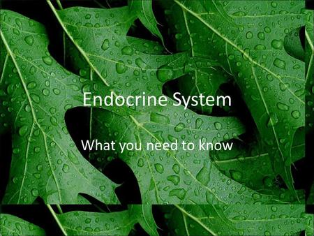 Endocrine System What you need to know. Role of Hormones help maintain homeostasis – by causing or preventing change in target cells.