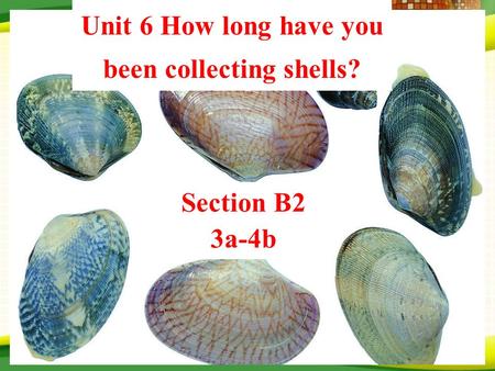 Unit 6 How long have you been collecting shells? Section B2 3a-4b.