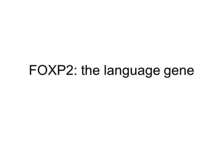 FOXP2: the language gene. Talk of genetics and vice versa Steven Pinker Commentary on Lai et al.