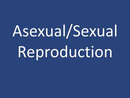 Asexual/Sexual Reproduction. Bacteria Bacteria reproduce Asexually and Sexually. Asexual – Binary Fission Sexual – Conjugation.