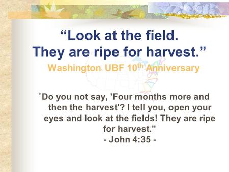 “Look at the field. They are ripe for harvest.” “ Do you not say, 'Four months more and then the harvest'? I tell you, open your eyes and look at the.