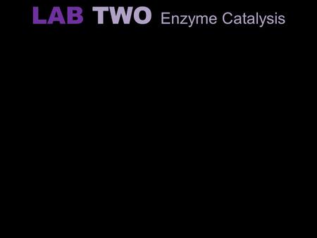 LAB TWO Enzyme Catalysis. Background Concepts: Enzyme Catalyst Catalysis Catalase Substrate Product.