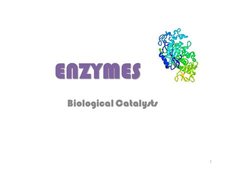 ENZYMES Biological Catalysts 1. ENZYMES ENZYMES are important proteins Many chemical reactions in living cells (and organisms) are regulated by ENZYMES.