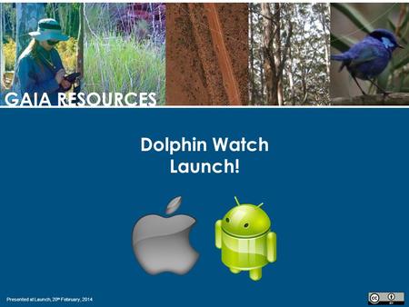 Presented at Launch, 20 th February, 2014 GAIA RESOURCES Dolphin Watch Launch!