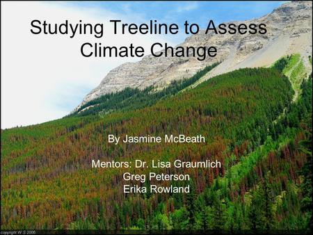 Studying Treeline to Assess Climate Change By Jasmine McBeath Mentors: Dr. Lisa Graumlich Greg Peterson Erika Rowland.