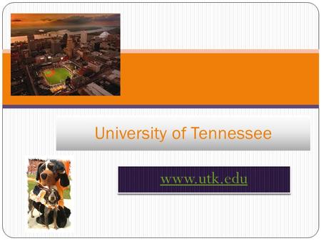 University of Tennessee. The History! The original school was established in 1794 Its original name was Blount College The present day 40-acer site.