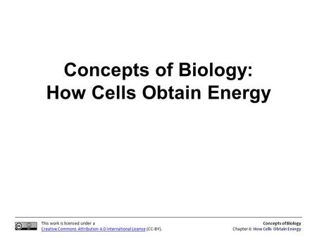 This work is licensed under a Creative Commons Attribution 4.0 International License (CC-BY). Concepts of Biology Chapter 4: How Cells Obtain Energy Concepts.