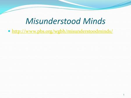 Misunderstood Minds  1.
