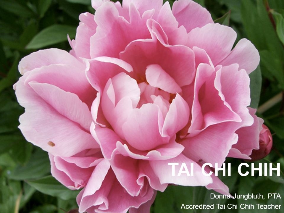 TAI CHI CHIH Donna Jungbluth, PTA Accredited Tai Chi Chih Teacher. - ppt  download