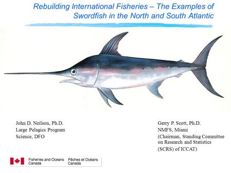 Rebuilding International Fisheries – The Examples of Swordfish in the North and South Atlantic John D. Neilson, Ph.D. Large Pelagics Program Science, DFO.