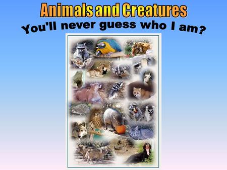 Safari Animals & Animals & Creatures Baby Animals & Animals & Creatures Dangerous Animals & Animals & Creatures Tame Animals & Animals & Creatures Groups.