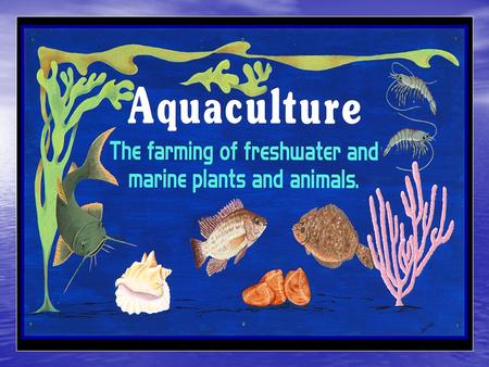 The husbandry of marine or saltwater organisms Mariculture.