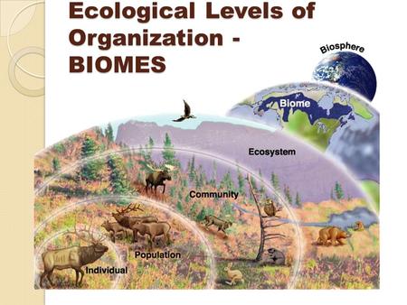 Ecological Levels of Organization - BIOMES