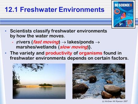 (c) McGraw Hill Ryerson 2007 Scientists classify freshwater environments by how the water moves.  { rivers (fast moving)  lakes/ponds  marshes/wetlands.