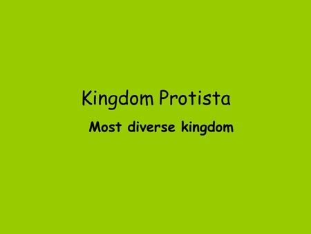 Kingdom Protista Most diverse kingdom.