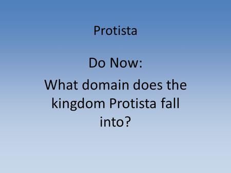 Do Now: What domain does the kingdom Protista fall into?