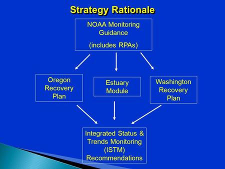 Strategy Rationale Oregon Recovery Plan Washington Recovery Plan NOAA Monitoring Guidance (includes RPAs) Integrated Status & Trends Monitoring (ISTM)