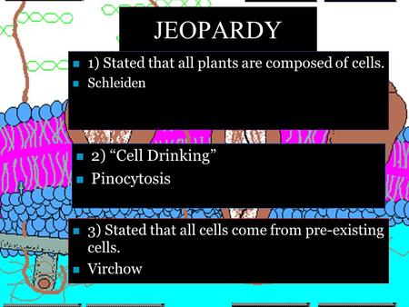 JEOPARDY n 1) Stated that all plants are composed of cells. n Schleiden n 2) “Cell Drinking” n Pinocytosis n 3) Stated that all cells come from pre-existing.