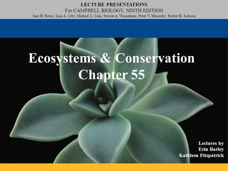 Ecosystems & Conservation