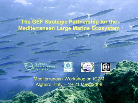 The GEF Strategic Partnership for the Mediterranean Large Marine Ecosystem Mediterranean Workshop on ICZM Alghero, Italy – 19-21 May, 2008.