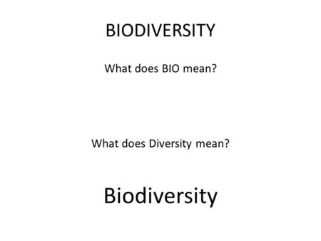 What does Diversity mean?
