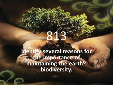 813 Identify several reasons for the importance of maintaining the earth’s biodiversity.  