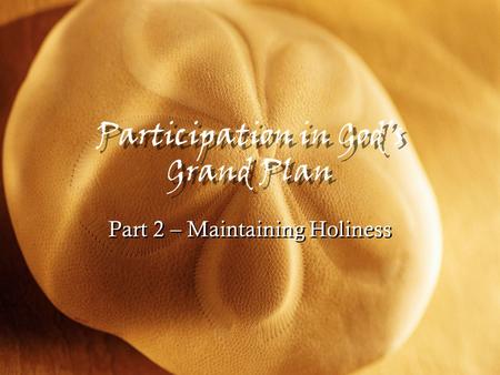 Participation in God’s Grand Plan Part 2 – Maintaining Holiness.