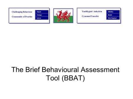 The Brief Behavioural Assessment Tool (BBAT)