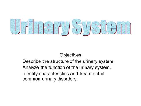 Objectives Describe the structure of the urinary system Analyze the function of the urinary system. Identify characteristics and treatment of common urinary.