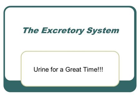 The Excretory System Urine for a Great Time!!!. Engage Watch the following video that shows thirty-seven -year old Dan Whitmore who has kidney failure.